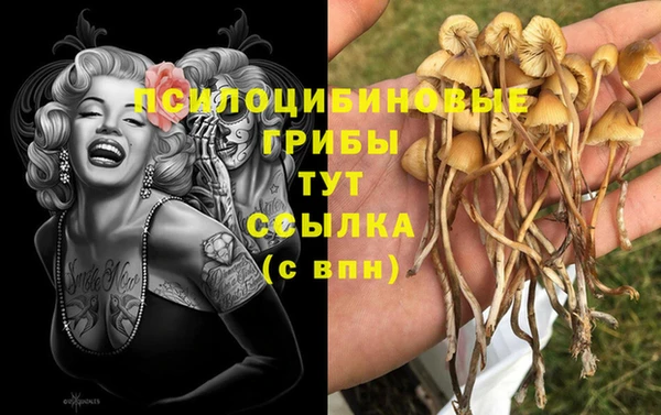 гашиш Алзамай