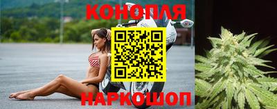дмт Краснодар