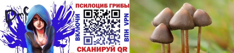Галлюциногенные грибы GOLDEN TEACHER  Ишим 