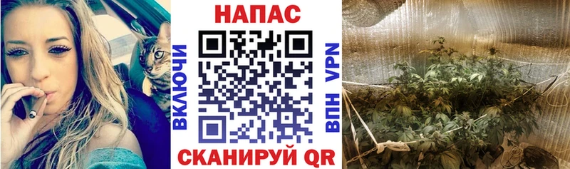 blacksprut как войти  Ишим  МАРИХУАНА тримм 